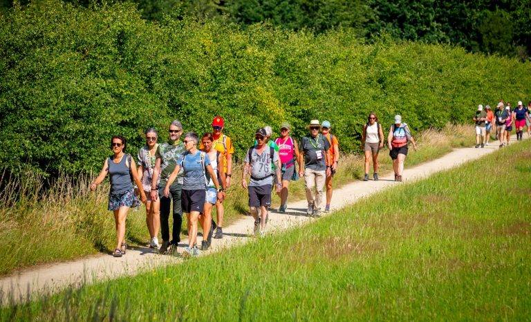 bhKasteelwandeling_De_Haar019