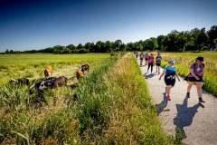 bhKasteelwandeling_De_Haar016