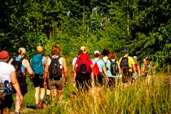 bhKasteelwandeling_De_Haar069