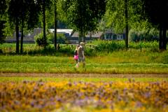 bhKasteelwandeling_De_Haar091