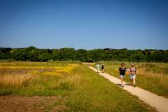 bhKasteelwandeling_De_Haar092