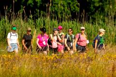 bhKasteelwandeling_De_Haar094