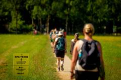 bhKasteelwandeling_De_Haar095