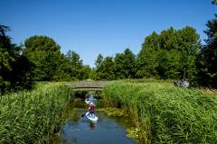bhKasteelwandeling_De_Haar103