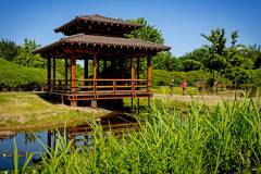 bhKasteelwandeling_De_Haar112