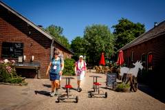 bhKasteelwandeling_De_Haar115